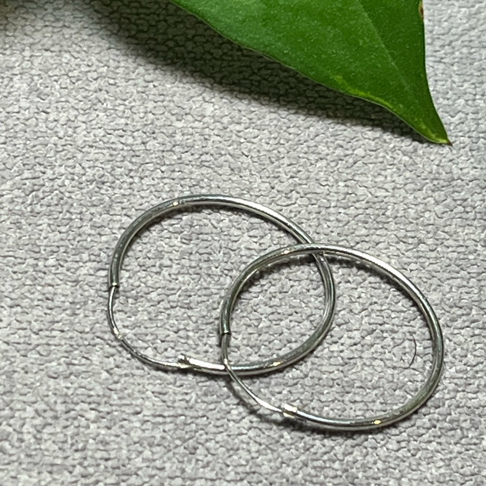 Elegant Silver Hoop Earrings